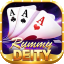 rummy mard icon