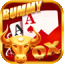 color rummy download apk